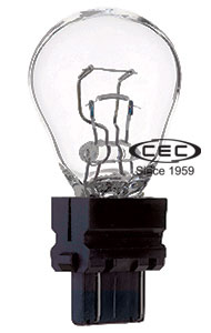 CEC3157.jpg